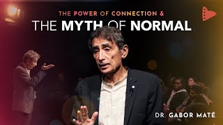 Dr Gabor Maté The Myth of Normal amp The Power of Connection  Wholehearted [upl. by Klingel]