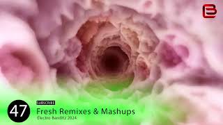 Electro Banditz pres Fresh Remixes amp Mashups EBVol47 [upl. by Greenstein274]