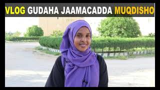 Vlog Inside in Mogadishu University [upl. by Dodds]