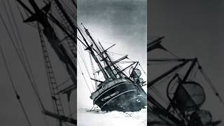 Endurance  SirErnestShackleton ship antarctica 1912 endurance shorts short viralvideo trend [upl. by Beberg]