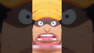 One piece  one of the saddest moment AMVEDITanime [upl. by Hoashis]