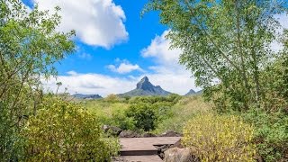 102 Luxurious Hideaway Tamarina Beachfront Golf Estate Villa in Black River Mauritius [upl. by Hgeilhsa54]