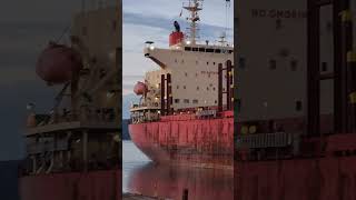 Pan Nova reels ships bulkcarriers astoriaoregon usa columbiariver maritime cool [upl. by Yadrahc462]