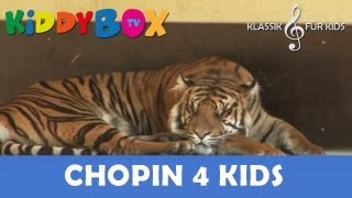 Mozart Bach Chopin  Klassik für Kinder  Ein gemütliches Plätzchen KIDDYBOXTV [upl. by Forlini877]