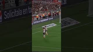 El gol de Borja y el festejo de la gente ❤️ riverplate fútbol Borja [upl. by Ynnam]