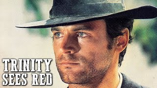 Trinity Sees Red  TERENCE HILL  Spaghetti Western  Free Western Movie  Cowboys  Full Films [upl. by Schiffman374]