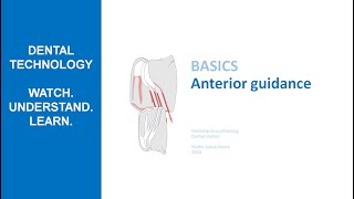 Anterior Guidance  How anteriors guide lower jaw movements [upl. by Iver]