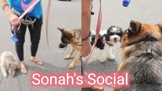 Sonahs Social Session [upl. by Annal]