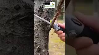 Portable Hand Saw For Wood Cutting [upl. by Nabroc378]