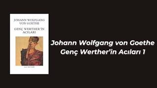 Johann Wolfgang von Goethe  Genç Wertherin Acıları 1 [upl. by Nahaj]