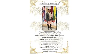 Celebrating The Life Of Tricia Magnola De shong [upl. by Antebi]