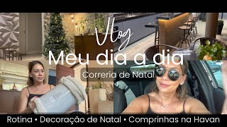 VLOG  Meu dia a dia • Correria de Natal • Rotina • Decoração de Natal • Comprinhas na Havan [upl. by Trabue]