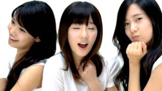 HD소녀시대 SNSDGEE Full MVLG demo [upl. by Resa]