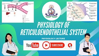 PHYSIOLOGY OF RETICULOENDOTHELIAL SYSTEM [upl. by Ahsoem37]