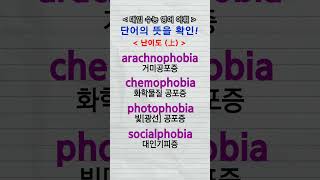 수능단어 arachnophobia chemophobia photophobia socialphobia vocabulary [upl. by Fidel]