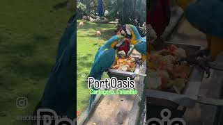 Exploring PORT OASIS Cartagena COLOMBIA [upl. by Tobin]