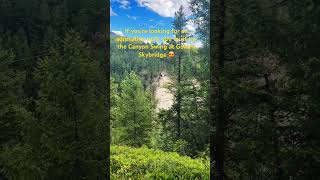 Giant Canyon Swing at Golden Skybridge BC [upl. by Oiril]