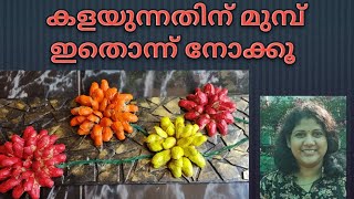 peanuts shell craft l easy and beautiful l malayalam l mummy and me [upl. by Piscatelli]