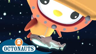 Octonauts  Meeting a Baby Shark  Cartoons for Kids  Underwater Sea Education [upl. by Husein]