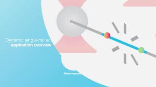 Dynamic Singlemolecule Applications Overview [upl. by Erie958]