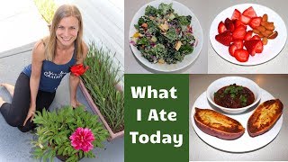 What I Ate Today as a Vegan Nutritarian  Do I Supplement [upl. by Cynthea]