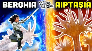 DESTROY Aiptasia with Berghia Nudibranchs Everything You Need to Know [upl. by Sitnik928]