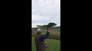 Zanonia von Doc Wunder erster Test RC Glider [upl. by Cimbura]