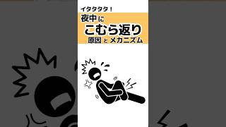 こむら返り 夜中に足をつる 原因とメカニズム 雑学 豆知識 学び shorts トリビア 健康 [upl. by Ijneb158]