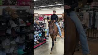 Shopping with Marlowe equestrian quarterhorse horse [upl. by Sissy]