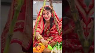 कोशी भरे चलली 🌺🙏 Chhath Puja status jai chhathi Maiya 🙏 chhath statusvideo shorts [upl. by Ohare]