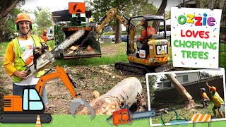 Tree Chopping Video For Kids  Chainsaw Wood Chipper Excavator Tree Climbing Fun With Ozzie [upl. by Euqinomod]