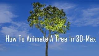 3D Max Tree Animation Tutorial [upl. by Ilek]