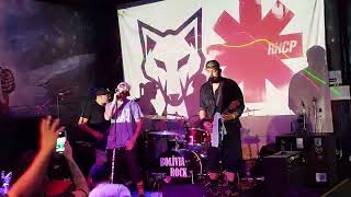 161124  Cover Fest  Banda Coyotes Califórnia  Red Hot Chilli Peppers cover  ICBR [upl. by Assirod]