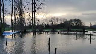 Parcours Hexia Cyclocross Gullegem onder water gelopen [upl. by Enner]