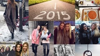 Luisas Life 282015 Hamburg Meet amp Greet Silvester Männer Fazit 2015 [upl. by Merrick366]