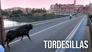 Tordesillas 2024 Toro de la Hosteleria [upl. by Aibun385]