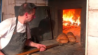 More than 600 years A historic bakery that has been baking in a woodfired oven 🔥【Altamura Italy】 [upl. by Lipp]