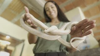 El único serpentario formal de Córdoba su objetivo es que quotla gente aprenda a no matarlasquot [upl. by Nylissej]