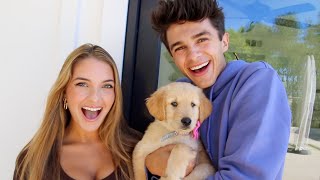 SURPRISING MY SISTER WITH A NEW PUPPY [upl. by Sharla]