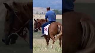 Why Cutting Hourse Hoof 🐴 shorts facts shortvideo shortsfeed [upl. by Heidy]