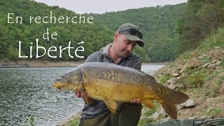 En recherche de liberté  CARP FISHING  Pêche de la carpe en lac de barrage [upl. by Suzann]