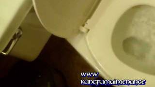 How To Fix A Double Flushing Toilet [upl. by Nichols507]