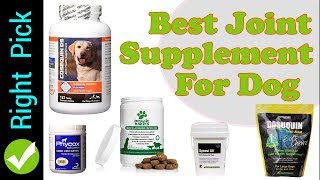 DOG SUPPLEMENT  5 Best Joint Supplement For Dog [upl. by Eugenie789]