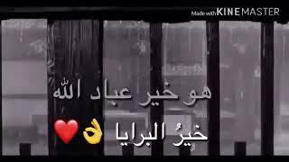 هوه خير عباد الله خير البرايا—ستندم اذا لم تنزل حاله جيله 😘😍 [upl. by Amoeji]