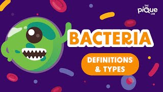 Bacteria Definition amp Types  Primary School Science Animation [upl. by Farrar]