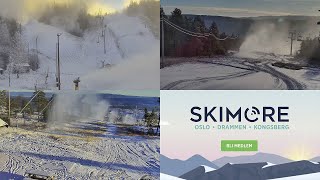 Skimore LIVE [upl. by Kevina]