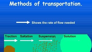 Transport of Sediment in Rivers and Sea  Diagram and explanation [upl. by Yanetruoc962]