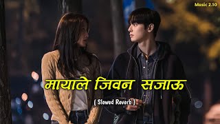 Mayale Jiwan Sajau SlowedReverb  Nepali Song  Music 210 [upl. by Mady831]