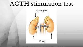 ACTH stimulation test [upl. by Erialcyram]