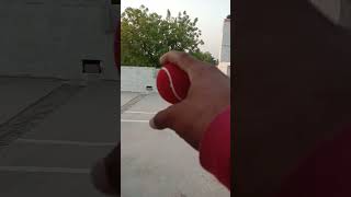 how to spin cosco ball next video cricket shorts 4 [upl. by Eugenia831]